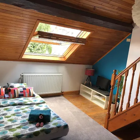 Ambiorix Birch House Bed & Breakfast *
