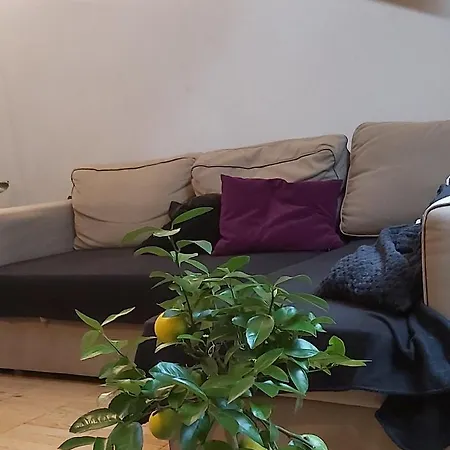 Habitación en casa particular Au Centre Ville
