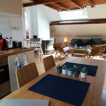 Cosy-design-central-hip Appartement *