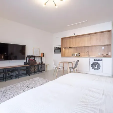 Mini Loft With Terrace Brüsszel