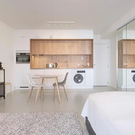 Mini Loft With Terrace Apartment *