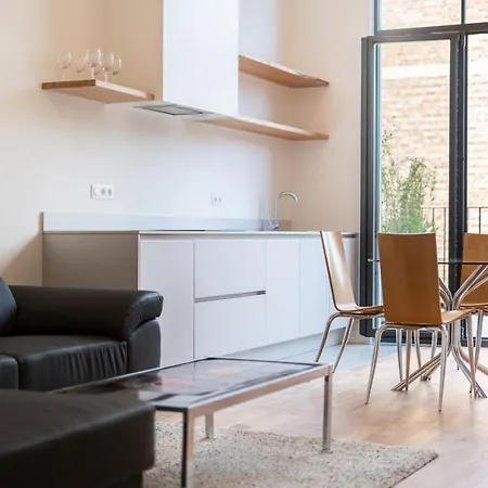 Spacious Flat In Ixelles 布鲁塞尔