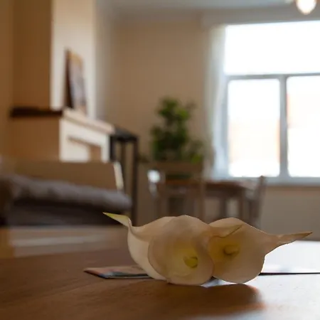 Apartman Voltaire Brüsszel
