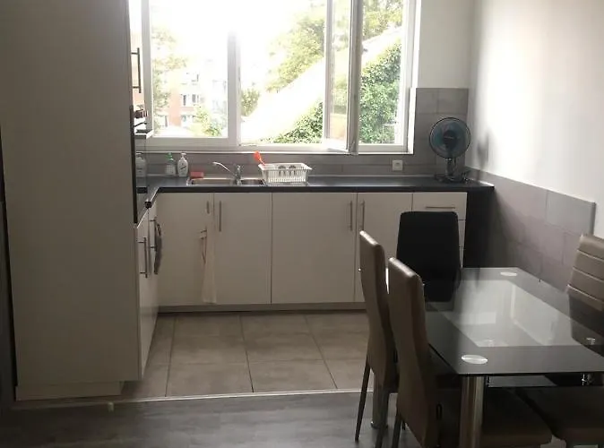 Dreamland Eu, * Brüksel