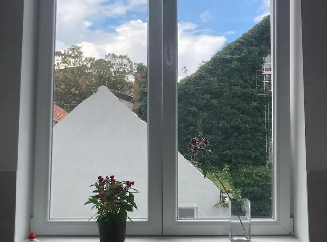 Dreamland Eu, Apartment