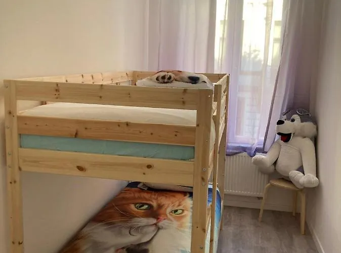 Dreamland Eu, Daire *