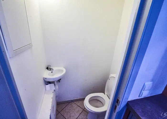 Au Plein Centre De La Apartment