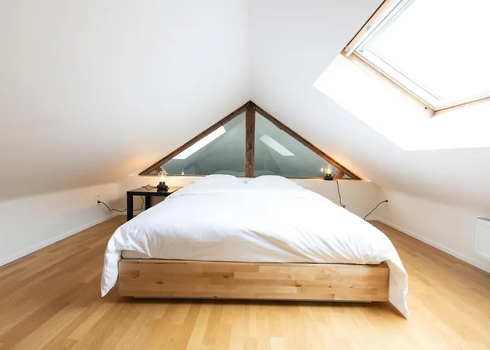 Spacious Modern Appartments In The Heart Of Bruxelles