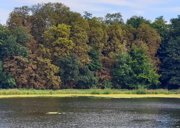 Maison Des Fleurs ゲストハウス