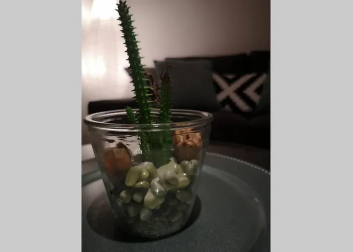 Easy Comfort Appartamento Bruxelles