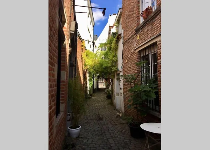 En Plein Coeur De Bruxelles. Superbe Duplex.a Voir!