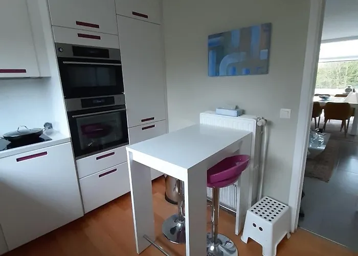 Magnifique Appartement- Expo Laeken Apartment