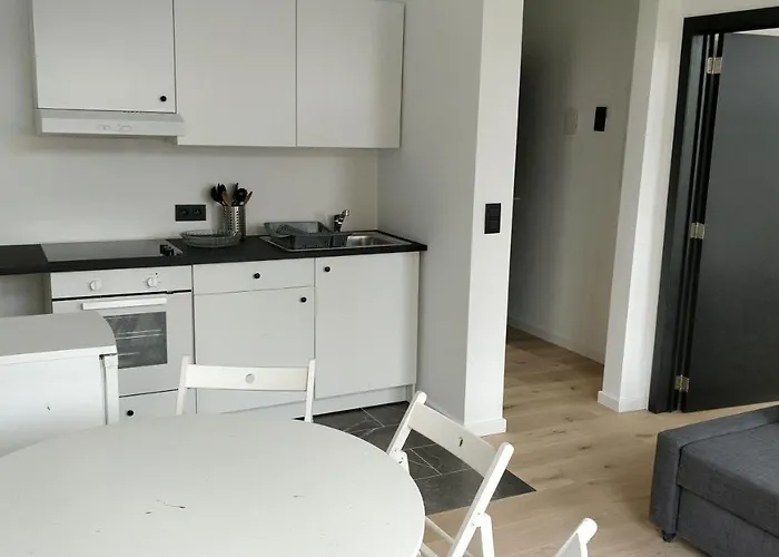 公寓 Flat 布鲁塞尔