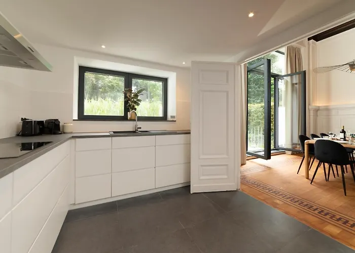 Sweett - Saint Bernard *