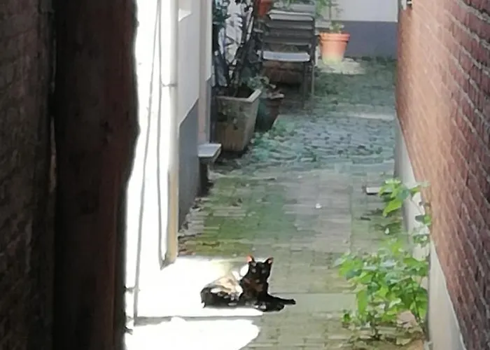 Petite Impasse Privee