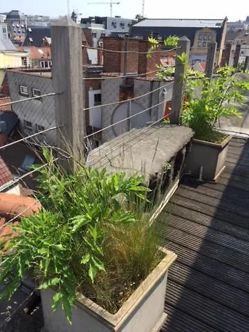 Duplex Dernier Etage Avec Terasse A Deux Pas De La Grand Place Apartment *