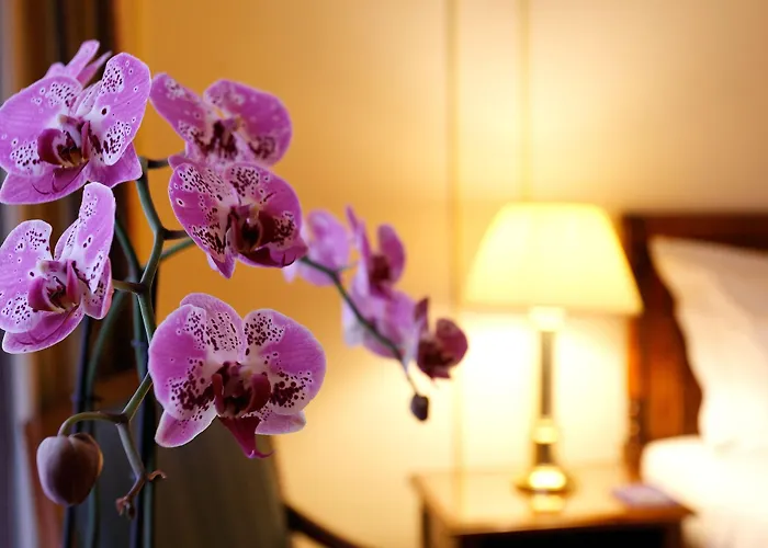 Hotel Le Plaza Bruselas