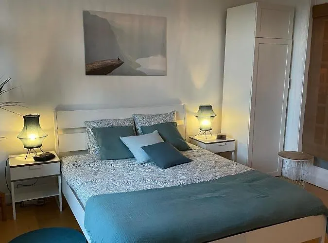 De Charme Dans Maison De Maitre Bruxelloise