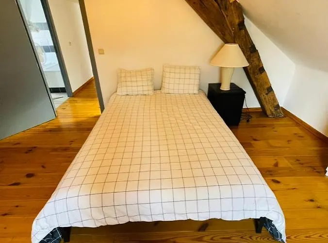 Charming Loft In Prime Location *