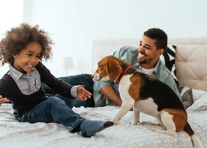 Citadines Sainte-catherine