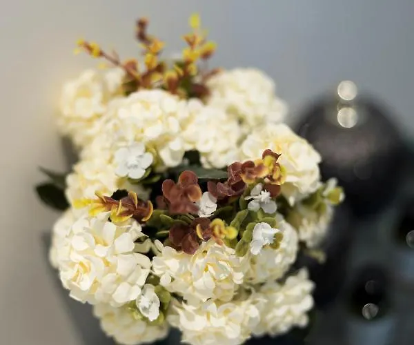 Luxury 3 Bedrooms Townhouse In Perfect Location בריסל