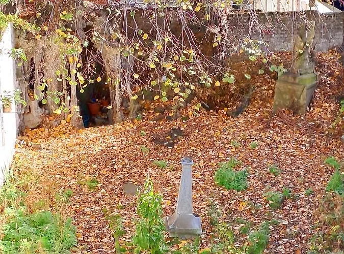 Maison Jamaer Bed & Breakfast Brussels