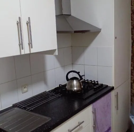 Supper Family * Brüssel