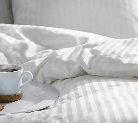 Luxury Luminous 2bedroom Center Of Apartament *