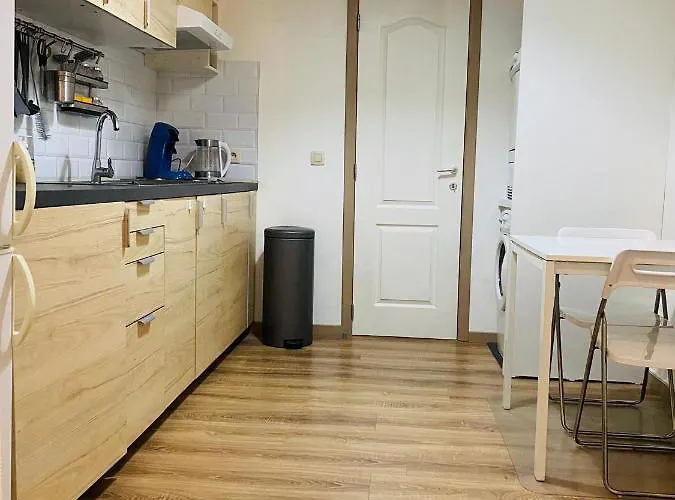 Fast Comfort Apartament Bruksela