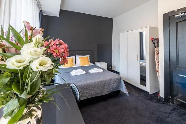 Gare Du Midi 31 公寓 布鲁塞尔