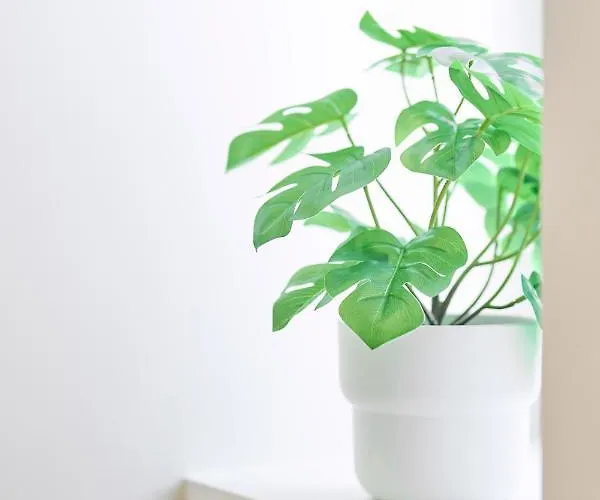 Daire Place Du Grand Sablon