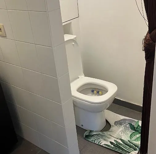 Duplex Tres Agreable Et Tres Calme Daire