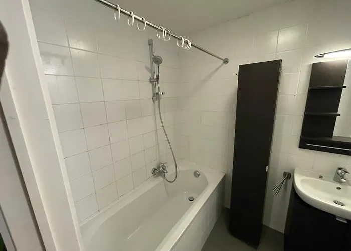 Daire Duplex Tres Agreable Et Tres Calme Brüksel