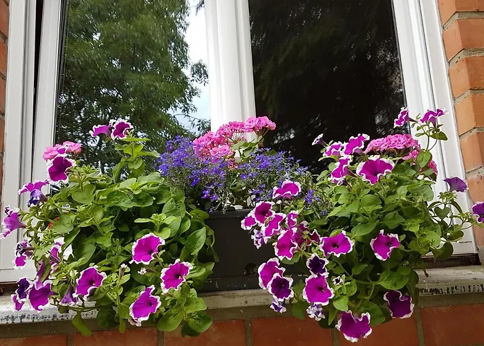 Apartment Modern Duplex With Garden *