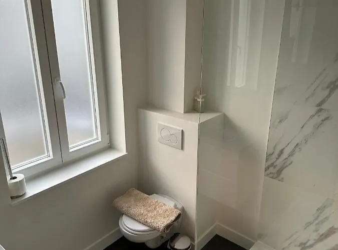 Renove Βρυξέλλες