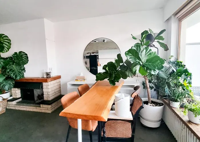 Apartment Furnished - Bright, Modern In Brussels, 15 Minutes Walk From The Atomium Brussels