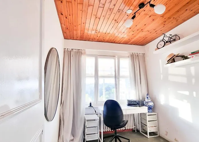 Furnished - Bright, Modern In Brussels, 15 Minutes Walk From The Atomium *