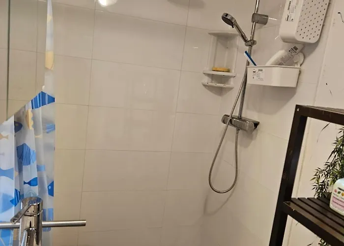 Zen Atomium Et Palais De L'exposition