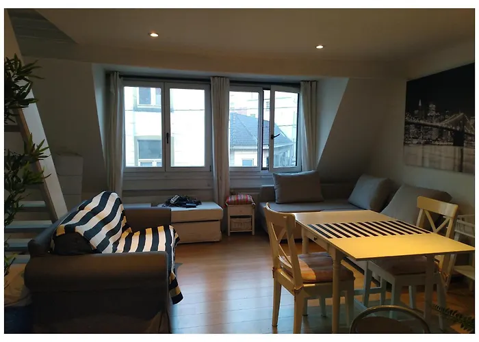 Zolo * Брюссель