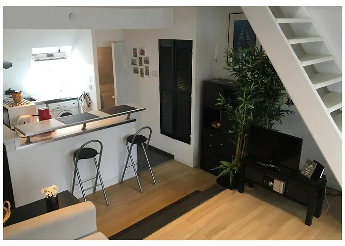 Zolo Брюссель