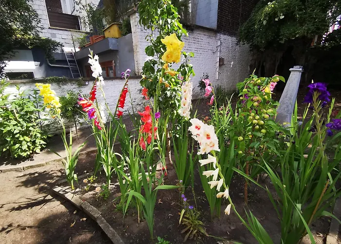 Maison Jamaer Bed & Breakfast Brussels