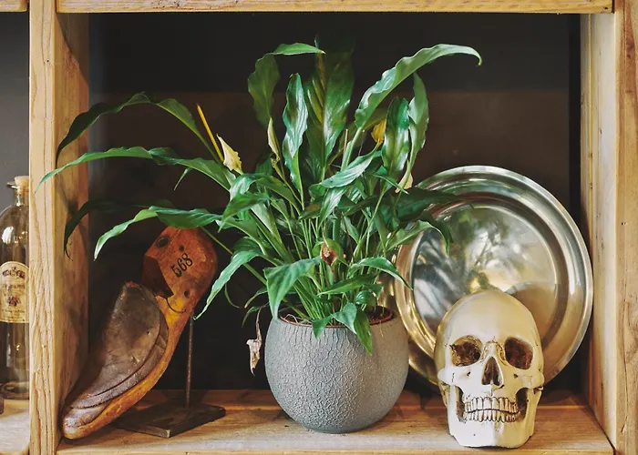 The Legacy By 2go4 Center