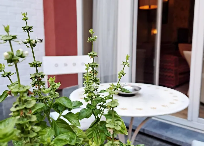 아파트호텔 Mas Eu