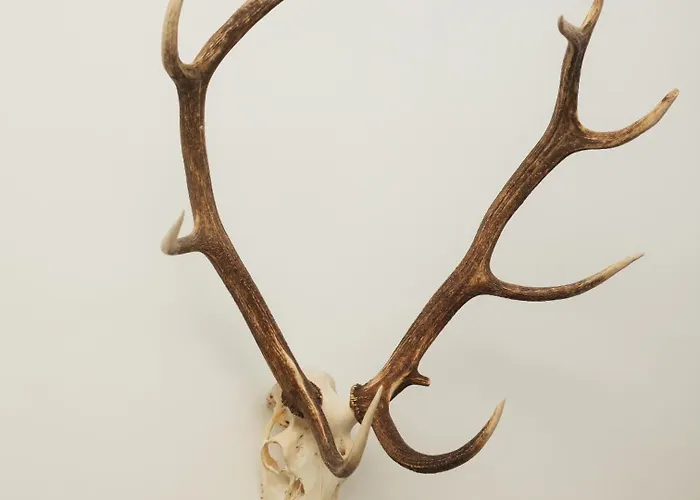 600m² Luxe & Jardin, Coeur Appartement *