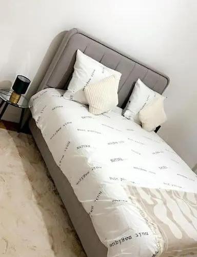 Apartment Centre - Ixelles - Avenue Louise - Chic Brüssel