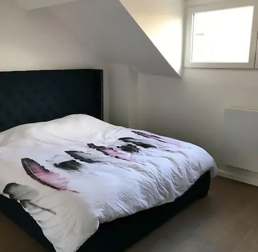 Duplex Avec Terrasse Quartier Europeen