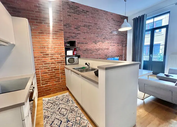 Apartamento Centre Bruxelles/ Center