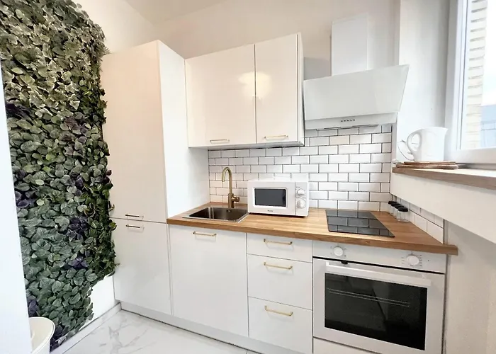 Comfortable In 35m² Terrace With Bbq Apartamento Bruselas