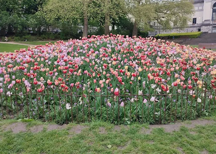 Charming In Etterbeek 70 M² With Balcony Βρυξέλλες