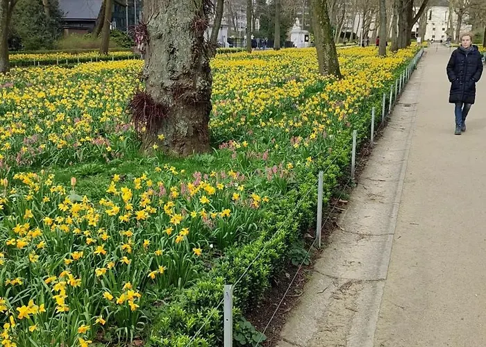 Charming In Etterbeek 70 M² With Balcony Apartment *